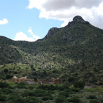 Ranger-led van tours and guided hikes