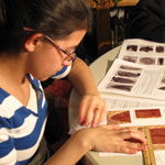 learning about climate from fossil leaves