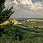 a view from the gravel portion of the scenic drive