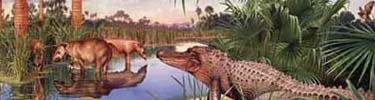 Southwest Wyoming 50 million years ago