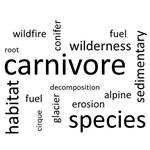 Glacier Vocabulary