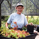 Park Partner volunteer working in the nursery
