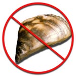 Don't let invasive mussels near Lake Powell!