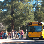 Class that has just arrived in the park standing near their bus while meeting their ranger.