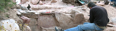 Studying the kiva wall.