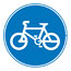 ride a bike