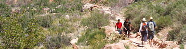 On the Bright Angel Trail above Indian Garden