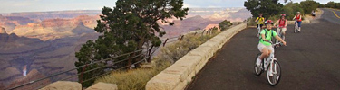 bike tour on hermit road