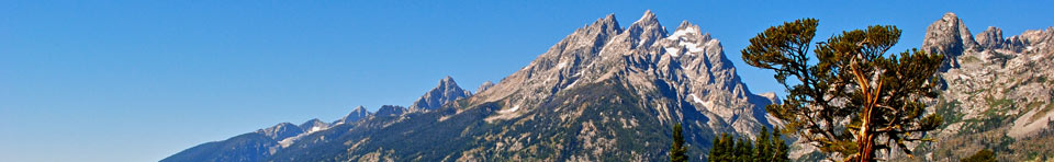 The Cathedral Group from the Teton Park Road