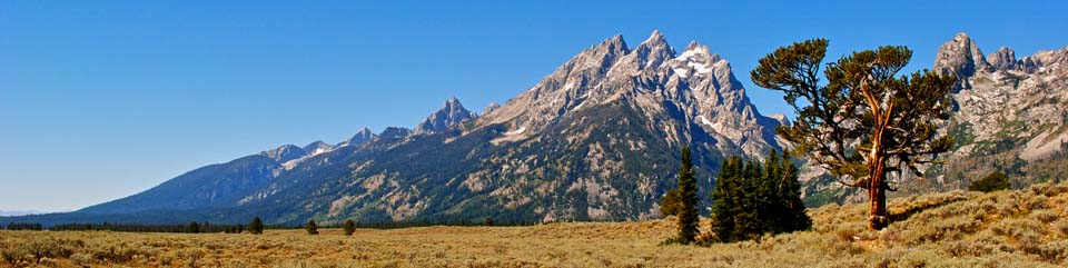 The Cathedral Group from the Teton Park Road