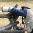 Viewing wildlife safely in Grand Teton