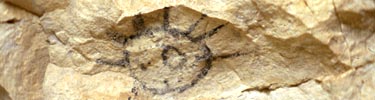 Pictographs are just one example of evidence left behind by Native Americans.