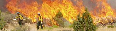 fire control