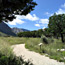 Park trails