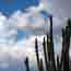 Weather