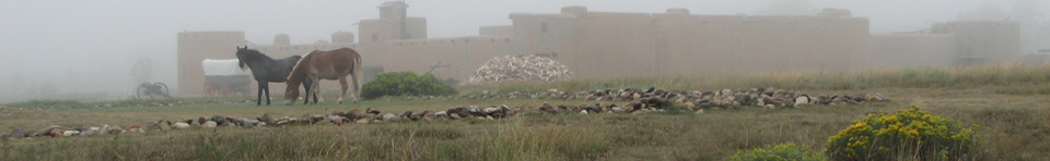 Front page foggy fort