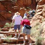 Summer Programs