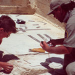 helping out in the scientific fossil quarry