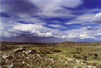 alibates photo
