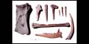 Artifacts from Amistad NRA Artifacts from Amistad NRA