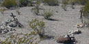 Desolate desert graves