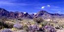 The Chisos Mountains tower above the desert lowlands The Chisos Mountains tower above the desert lowlands