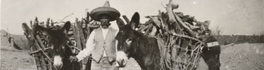 Mexican woodhauler, early 20th century.