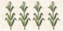 The Hohokam grew corn using a sophisticated irrigation system. The Hohokam grew corn using a sophisticated irrigation system.