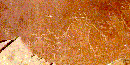 Fremont petroglyphs are characterized by trapezoid-shaped anthropomorphic figures.