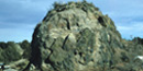color photograph of tumuli or squeezeup color photograph of tumuli or squeezeup