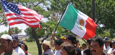 Flags