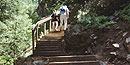 Pine Creek Stairs Pine Creek Stairs