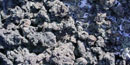 Rough aa lava can be found near Cerro Rendija Rough aa lava can be found near Cerro Rendija