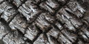 Image of bark on alligator juniper tree Image of bark on alligator juniper tree
