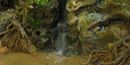 Apache Spring Apache Spring