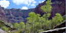 SPRINGS PROVIDE OASES FOR FLORA AND FAUNA SPRINGS PROVIDE OASES FOR FLORA AND FAUNA