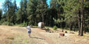 Blue Mountain Crossing near La Grande, Oregon Blue Mountain Crossing near La Grande, Oregon