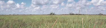 Much of the broad coastal prairie retains its 1846 appearance.