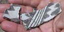 black on white pot sherds black on white pot sherds