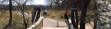 Biking along the San Antonio River