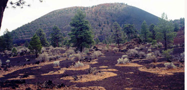 Cinder fields