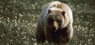 YELL_11649.jpg