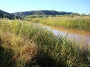 Canadian river Canadian river