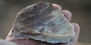 IMG_9055 IMG_9055