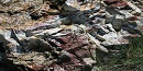 IMG_9061 IMG_9061