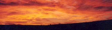 Photo of Spectacular Sunrise