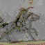 Small drawing of a portion of the Indian Memorial