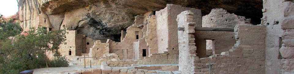 View inside Spruce Tree House