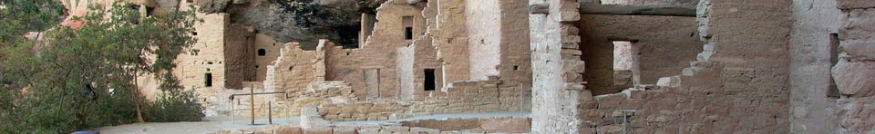 View inside Spruce Tree House