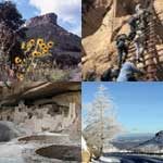 Seasonal collage of Mesa Verde National Park images